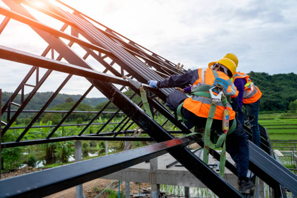 Best Storm Damage Roof Repair  in Buckhannon, WV