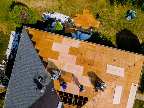 Best Roof Waterproofing Services  in Buckhannon, WV