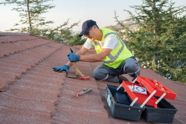 Best Roof Gutter Cleaning  in Buckhannon, WV