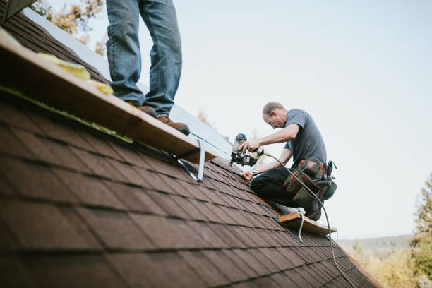 Best Emergency Roof Repair  in Buckhannon, WV